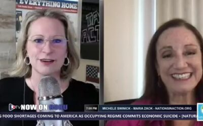 Michele Swinick Ft. Maria Zack 2020 Election Fraud & Senate Testimony