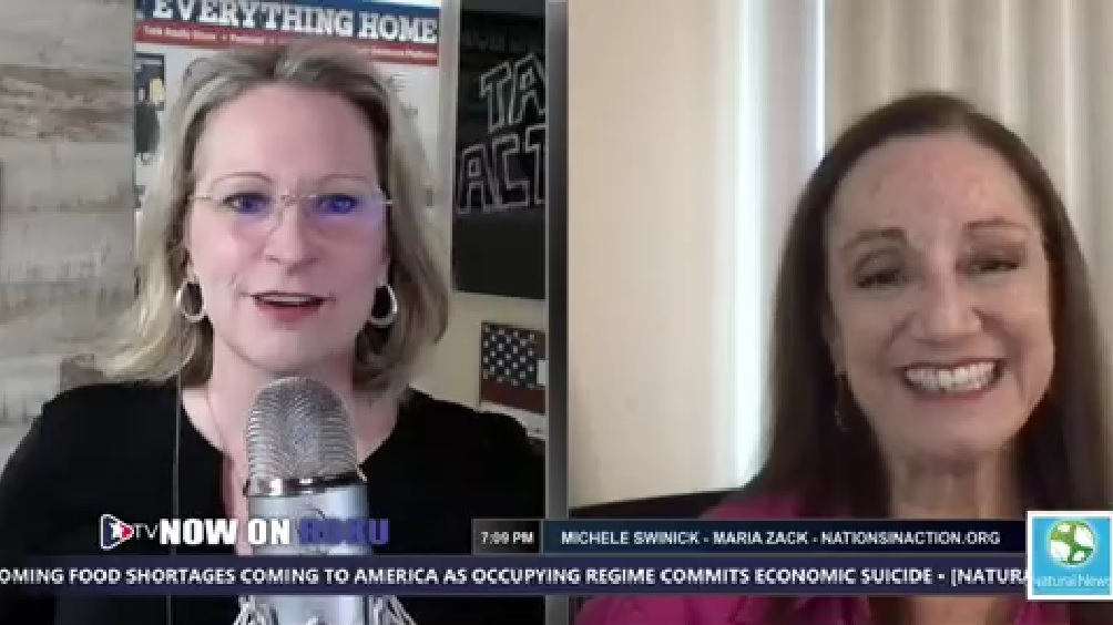 Michele Swinick Ft. Maria Zack 2020 Election Fraud & Senate Testimony